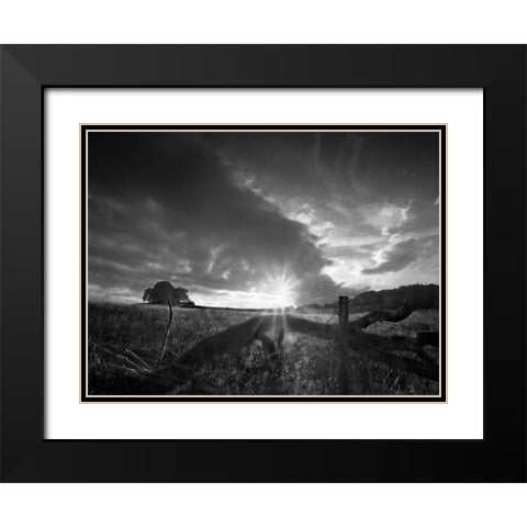 Fallen Tree Black Modern Wood Framed Art Print with Double Matting by Henson, Martin
