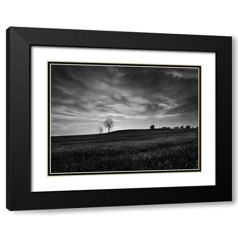Black and White Sunset Black Modern Wood Framed Art Print with Double Matting by Henson, Martin