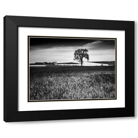 Field Texture Black Modern Wood Framed Art Print with Double Matting by Henson, Martin