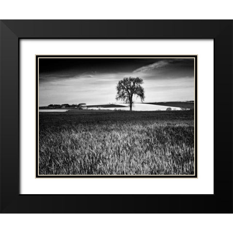 Field Texture Black Modern Wood Framed Art Print with Double Matting by Henson, Martin