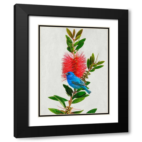 Avian Tropics III Black Modern Wood Framed Art Print with Double Matting by Vest, Chris