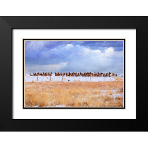 Zippy and the Elk Black Modern Wood Framed Art Print with Double Matting by Vest, Chris