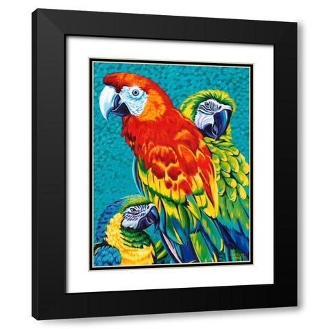 Birds in Paradise III Black Modern Wood Framed Art Print with Double Matting by Vitaletti, Carolee