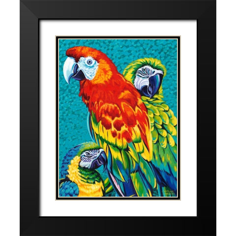 Birds in Paradise III Black Modern Wood Framed Art Print with Double Matting by Vitaletti, Carolee