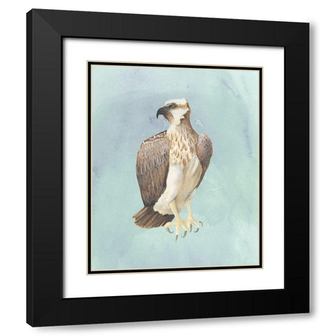 Watercolor Beach Bird IV Black Modern Wood Framed Art Print with Double Matting by Popp, Grace