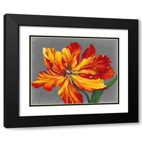 Tulip Portrait I Black Modern Wood Framed Art Print with Double Matting by OToole, Tim