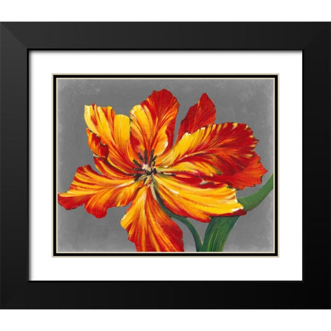 Tulip Portrait I Black Modern Wood Framed Art Print with Double Matting by OToole, Tim