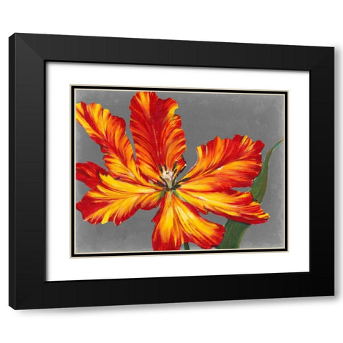 Tulip Portrait II Black Modern Wood Framed Art Print with Double Matting by OToole, Tim