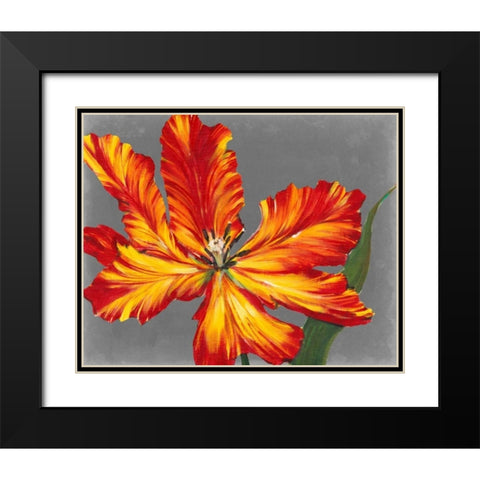 Tulip Portrait II Black Modern Wood Framed Art Print with Double Matting by OToole, Tim