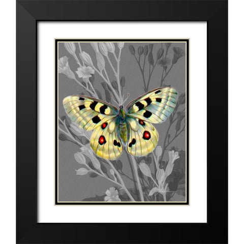 On Display II Black Modern Wood Framed Art Print with Double Matting by Burghardt, James