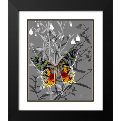 On Display IV Black Modern Wood Framed Art Print with Double Matting by Burghardt, James