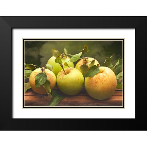 Jills Green Apples I Black Modern Wood Framed Art Print with Double Matting by Perry, Rachel