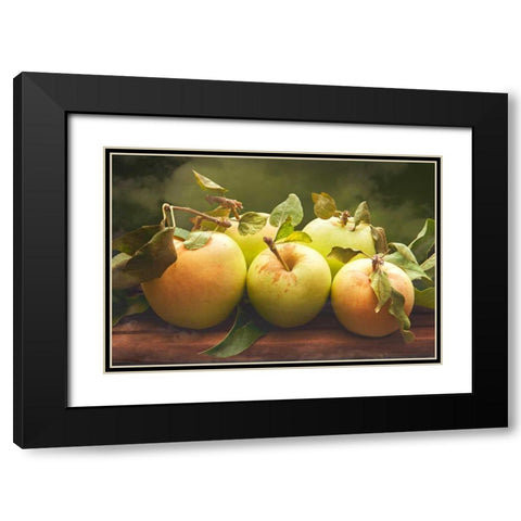 Jills Green Apples II Black Modern Wood Framed Art Print with Double Matting by Perry, Rachel