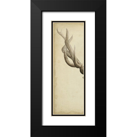 Triptych Elk I Black Modern Wood Framed Art Print with Double Matting by Popp, Grace