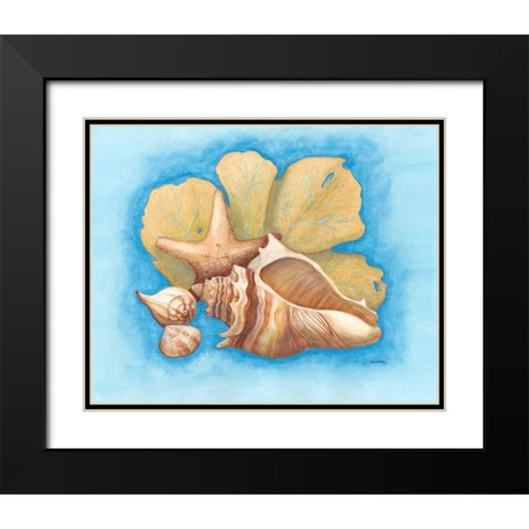 Seashells and Seafan II Black Modern Wood Framed Art Print with Double Matting by Russell, Wendy