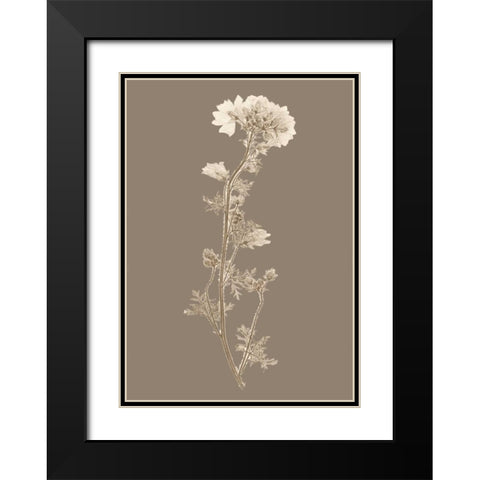 Taupe Nature Study I Custom Black Modern Wood Framed Art Print with Double Matting by Vision Studio