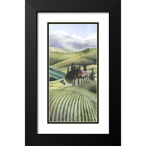 Mediterranean Olive Oil Collection B Black Modern Wood Framed Art Print with Double Matting by Popp, Grace