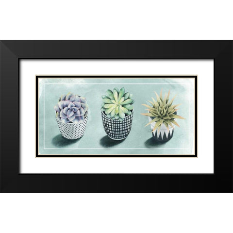 Succulent Love Collection C Black Modern Wood Framed Art Print with Double Matting by Popp, Grace