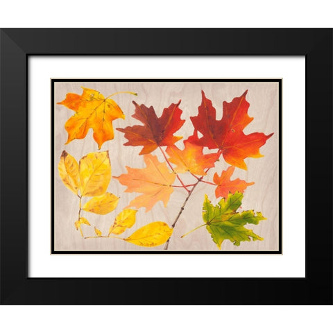Autumn Leaves Collection A Black Modern Wood Framed Art Print with Double Matting by Miller, Dianne