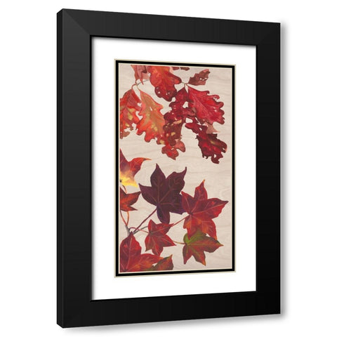 Autumn Leaves Collection B Black Modern Wood Framed Art Print with Double Matting by Miller, Dianne
