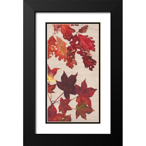 Autumn Leaves Collection B Black Modern Wood Framed Art Print with Double Matting by Miller, Dianne