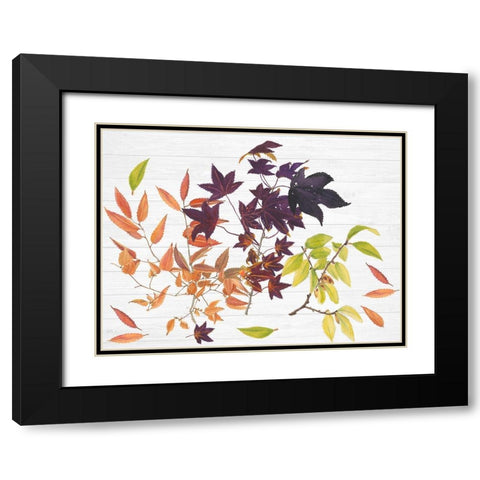 Sweet Foliage Collection A Black Modern Wood Framed Art Print with Double Matting by Miller, Dianne
