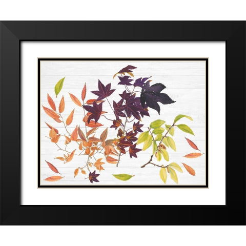 Sweet Foliage Collection A Black Modern Wood Framed Art Print with Double Matting by Miller, Dianne