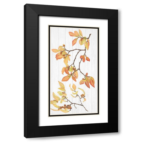 Sweet Foliage Collection B Black Modern Wood Framed Art Print with Double Matting by Miller, Dianne