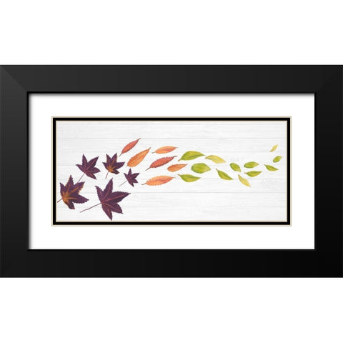 Sweet Foliage Collection D Black Modern Wood Framed Art Print with Double Matting by Miller, Dianne