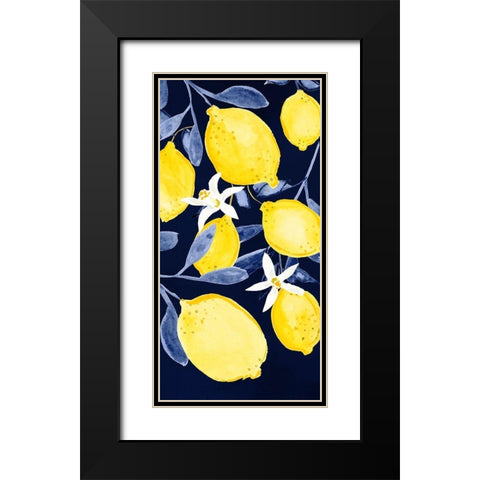 Fresh Fruit Collection B Black Modern Wood Framed Art Print with Double Matting by Borges, Victoria