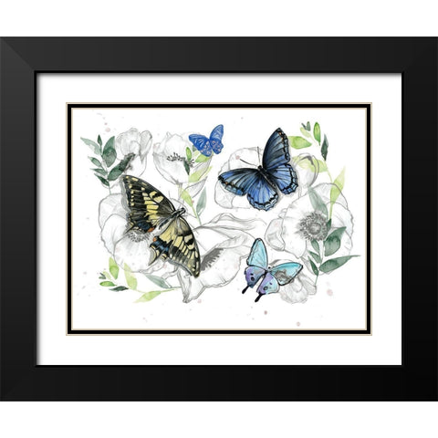 Watercolor Butterfly Collection A Black Modern Wood Framed Art Print with Double Matting by Parker, Jennifer Paxton