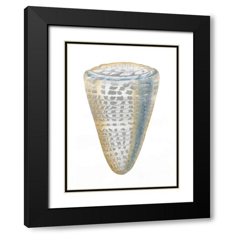 Silver Foil Shell I with Hand Color Black Modern Wood Framed Art Print with Double Matting by Vision Studio