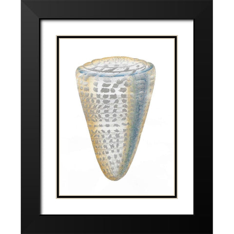 Silver Foil Shell I with Hand Color Black Modern Wood Framed Art Print with Double Matting by Vision Studio