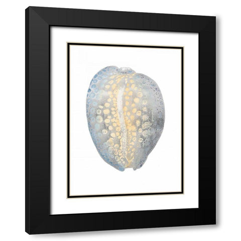 Silver Foil Shell II with Hand Color Black Modern Wood Framed Art Print with Double Matting by Vision Studio