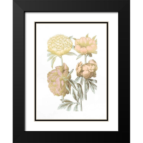 Gold Foil Chintz II with Hand Color Black Modern Wood Framed Art Print with Double Matting by Vision Studio