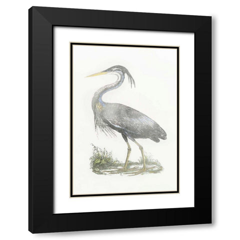 Silver Foil Heron II with Hand Color Black Modern Wood Framed Art Print with Double Matting by Selby, John