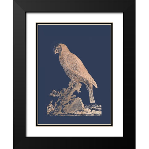 Rose Gold Foil Parrot II on Imperial Blue Black Modern Wood Framed Art Print with Double Matting by Edwards