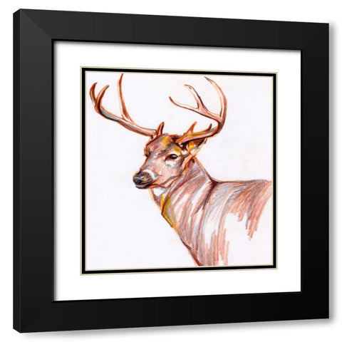 Deer in Pencil Black Modern Wood Framed Art Print with Double Matting by Seay, Anne