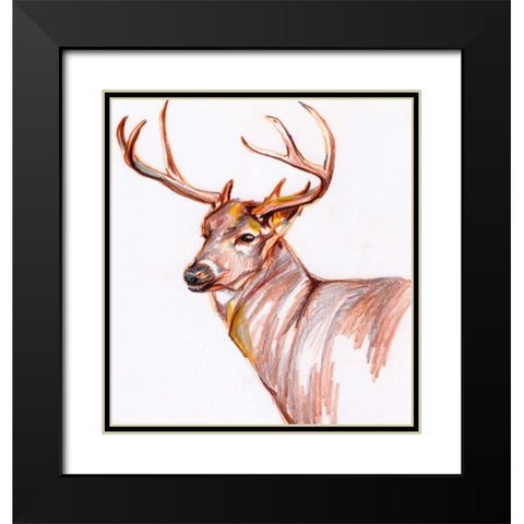 Deer in Pencil Black Modern Wood Framed Art Print with Double Matting by Seay, Anne