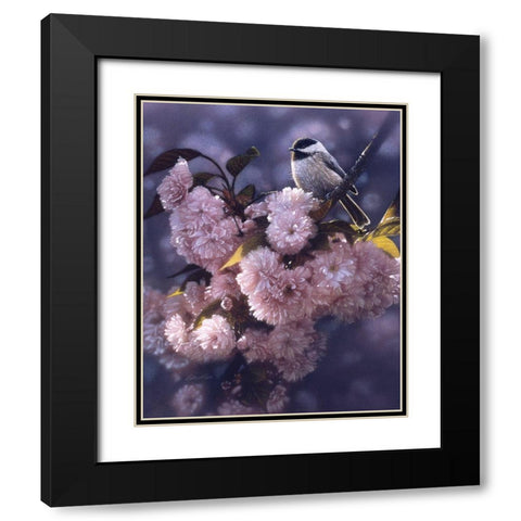 Black Capped Chickadee Black Modern Wood Framed Art Print with Double Matting by Bogle, Collin