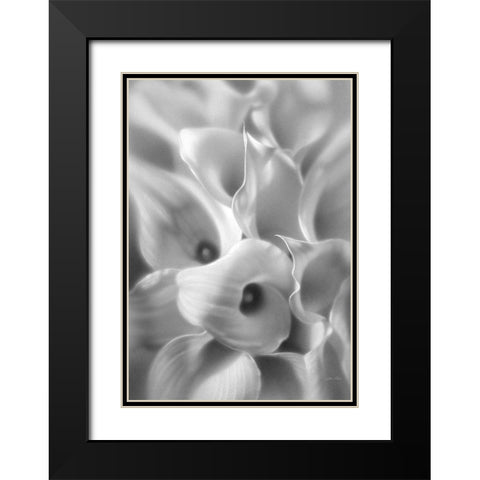Calla Lilies Black Modern Wood Framed Art Print with Double Matting by Bogle, Collin