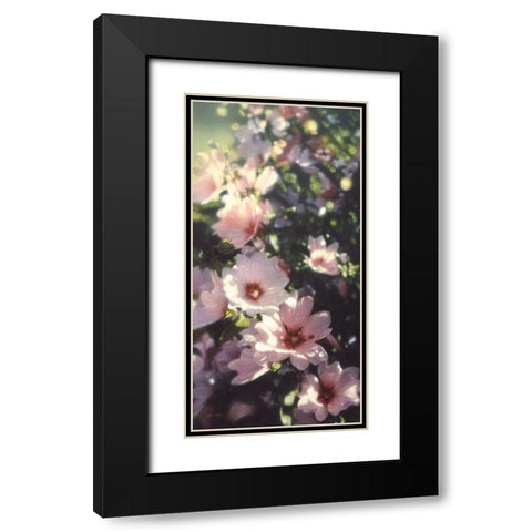 Summer Flowers Black Modern Wood Framed Art Print with Double Matting by Bogle, Collin