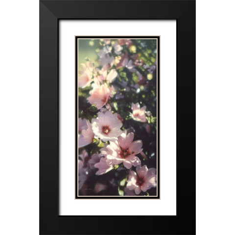 Summer Flowers Black Modern Wood Framed Art Print with Double Matting by Bogle, Collin