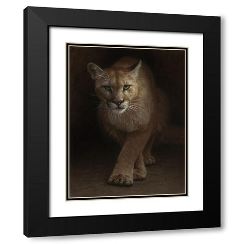 Cougar - Emergence Black Modern Wood Framed Art Print with Double Matting by Bogle, Collin