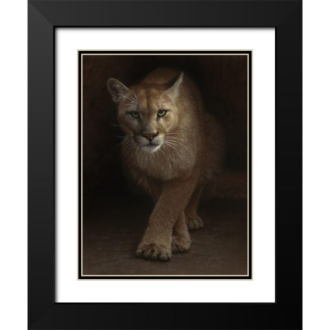 Cougar - Emergence Black Modern Wood Framed Art Print with Double Matting by Bogle, Collin