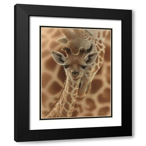 Newborn Giraffe Black Modern Wood Framed Art Print with Double Matting by Bogle, Collin