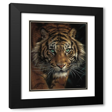 Eye of the Tiger Black Modern Wood Framed Art Print with Double Matting by Bogle, Collin
