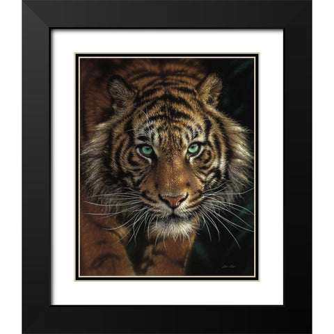 Eye of the Tiger Black Modern Wood Framed Art Print with Double Matting by Bogle, Collin