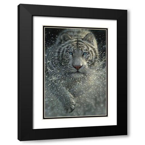 White Tiger - West and Wild Black Modern Wood Framed Art Print with Double Matting by Bogle, Collin
