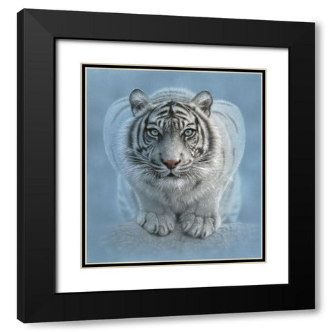 White Tiger - Wild Intentions Black Modern Wood Framed Art Print with Double Matting by Bogle, Collin